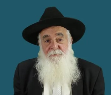 Professor Eliahu rips